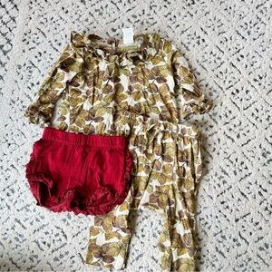 Kate Quinn Fall Leaves 3-6 Month Outfit